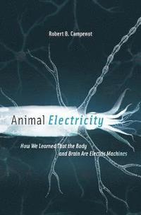 bokomslag Animal Electricity