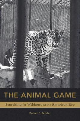 The Animal Game 1