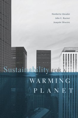 Humberto Llavador, John E. Roemer, Joaquim Silvestre - Sustainability for a Warming Planet, Inbunden