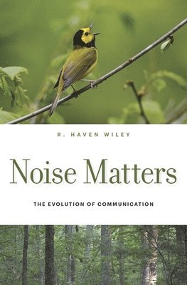 Noise Matters 1