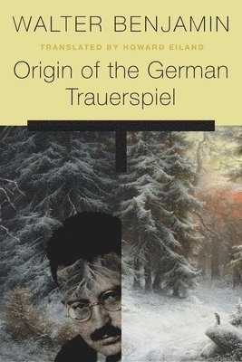 bokomslag Origin of the German Trauerspiel