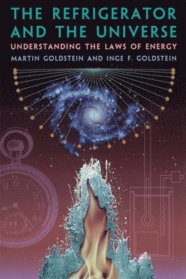 Martin Goldstein, Inge F. Goldstein - Refrigerator and the Universe, Häftad