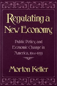 bokomslag Regulating a New Economy