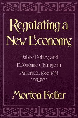 bokomslag Regulating a New Economy