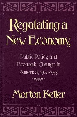 Regulating a New Economy 1