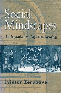 bokomslag Social Mindscapes