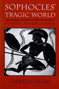 bokomslag Sophocles' Tragic World