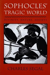 bokomslag Sophocles Tragic World