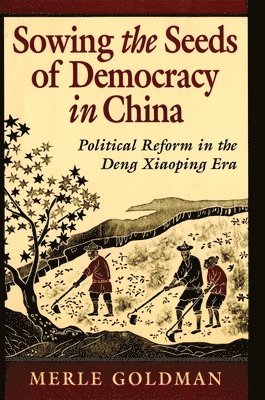 bokomslag Sowing the Seeds of Democracy in China