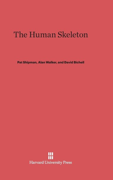 bokomslag The Human Skeleton