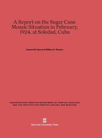 bokomslag A Report on the Sugar Cane Mosaic Situation in February, 1924, at Soledad, Cuba