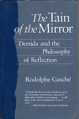 bokomslag Tain of the Mirror