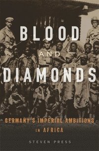 bokomslag Blood and Diamonds