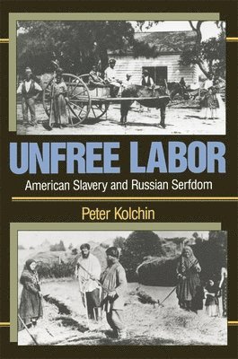 Peter Kolchin - Unfree Labor, Häftad