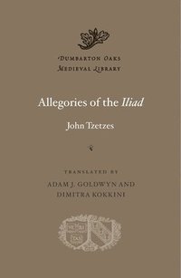 bokomslag Allegories of the Iliad