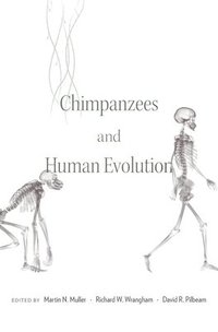 bokomslag Chimpanzees and Human Evolution