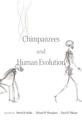 Chimpanzees and Human Evolution 1