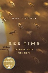 bokomslag Bee Time: Lessons from the Hive