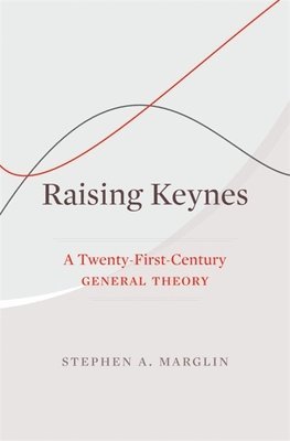 bokomslag Raising Keynes