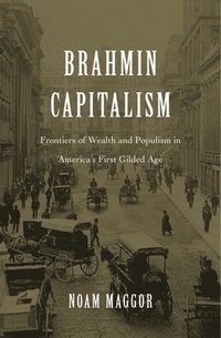 bokomslag Brahmin Capitalism