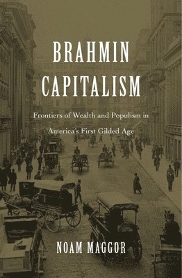 Brahmin Capitalism 1