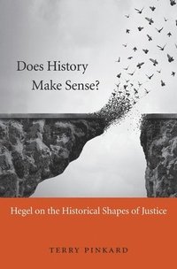 bokomslag Does History Make Sense?