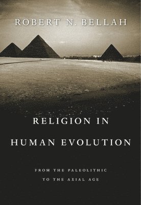 bokomslag Religion in Human Evolution