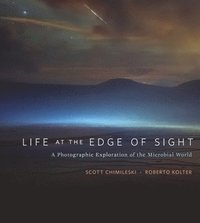 bokomslag Life at the Edge of Sight: A Photographic Exploration of the Microbial World