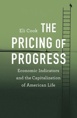 bokomslag The Pricing of Progress