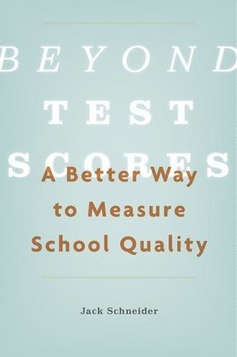 bokomslag Beyond Test Scores