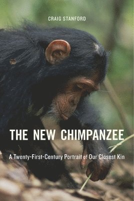 bokomslag The New Chimpanzee