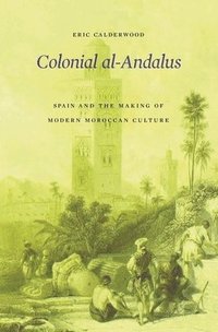 bokomslag Colonial al-Andalus
