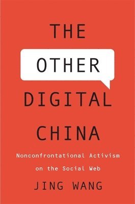 The Other Digital China 1