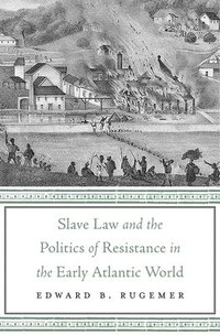 bokomslag Slave Law and the Politics of Resistance in the Early Atlantic World