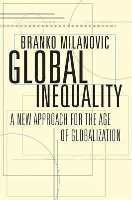 bokomslag Global Inequality