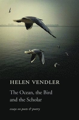 The Ocean, the Bird, and the Scholar 1