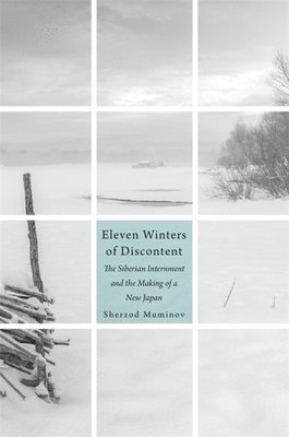 bokomslag Eleven Winters of Discontent