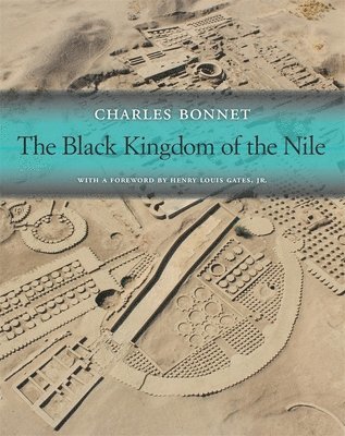 bokomslag The Black Kingdom of the Nile