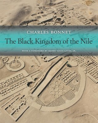 The Black Kingdom of the Nile 1