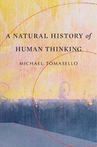 bokomslag A Natural History of Human Thinking