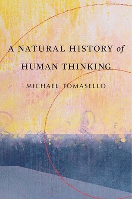bokomslag A Natural History of Human Thinking