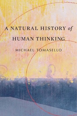 bokomslag Natural History of Human Thinking