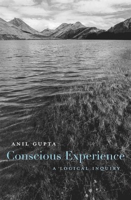 Conscious Experience 1