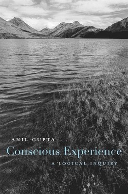 Conscious Experience