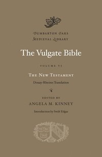 bokomslag The Vulgate Bible: Volume VI The New Testament: Douay-Rheims Translation