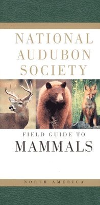 bokomslag Field Guide to North American Mammals