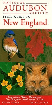 bokomslag National Audubon Society Field Guide to New England: Connecticut, Maine, Massachusetts, New Hampshire, Rhode Island, Vermont