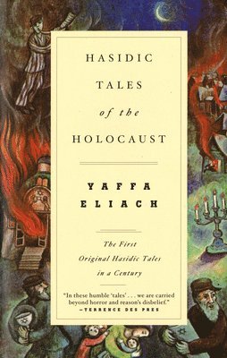 bokomslag Hasidic Tales of the Holocaust