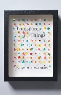 bokomslag Transparent Things