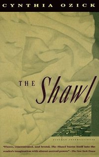 bokomslag The Shawl